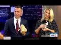 INTERVIEW: 'Doughnut' litter ready for adoption from Final Victory Animal Rescue