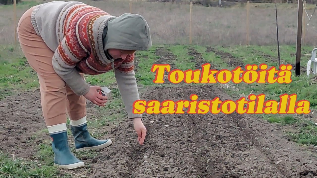 Toukotöitä saaristotilalla🌞mehiläistenhoito🌞kanoja🌞kylvöjä🌞perunan istutus