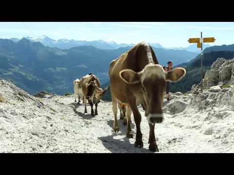 Puntata 03 - Il Formaggio d&rsquo;Alpe