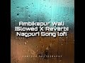 Ambikapur wali slowed x reverb nagpuri song lofi version sushma santosh topic 