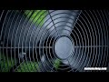 Fan Sound To Sleep Full Speed Asmr Soundtosleep Relaxingmusic 8minutehistory Sleepingmusic 