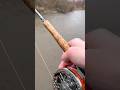 #fyp #shorts #fishing #steelhead #troutfishing #wisconsin #chrome #trout #fish #centerpin #spawning