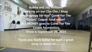 Joy and Carl Williams - Cures For The Colors Cha Cha   Shag Fusion