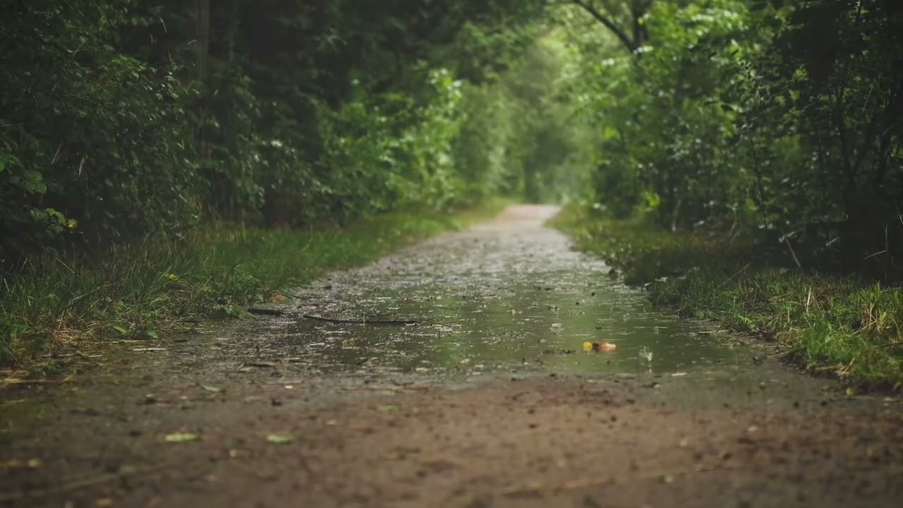 Heavy Rain at Night Ultimate Relaxation (3 Hours)