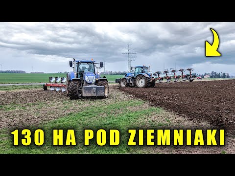 ORKA 130HA POD ZIEMNIAKI! W Gr Gawrych 2x New holland