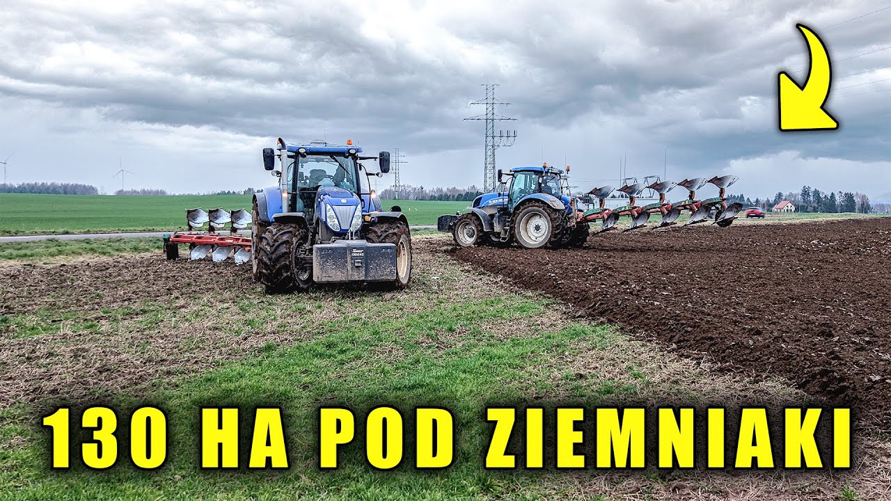 ORKA 130HA POD ZIEMNIAKI! W Gr Gawrych 2x New holland