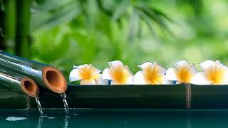 Therapeutic Piano Harmony, Stress Relief, Deep Sleep, Spa Bliss