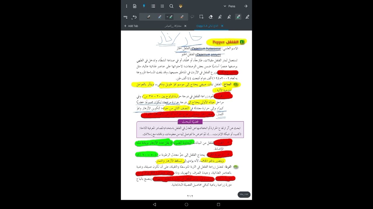 الفصيلة الباذنجانية 