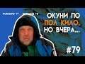 окуни по пол кило....были вчера, а сегодня ...всё как всегда, отчёт Но79