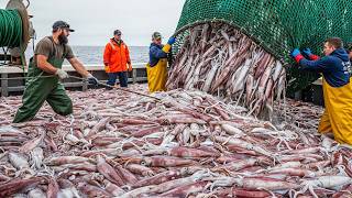 50+ Biggest Fishing Catches Ever Recorded – Millions of Tons of Seafood Harvested Like This