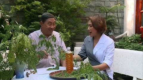 TÁC DỤNG CỦA CÂY CHÙM NGÂY - LY. NGUYỄN CÔNG ĐỨC