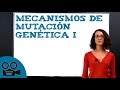 Mecanismos de mutación genética I