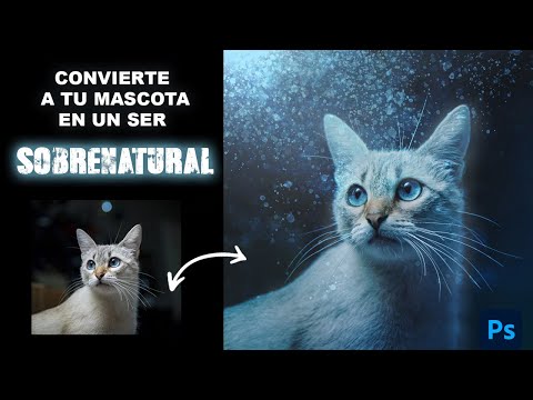 Tips para fotos de Halloween: Gatita Sobrenatural #photoshop #edición #halloween