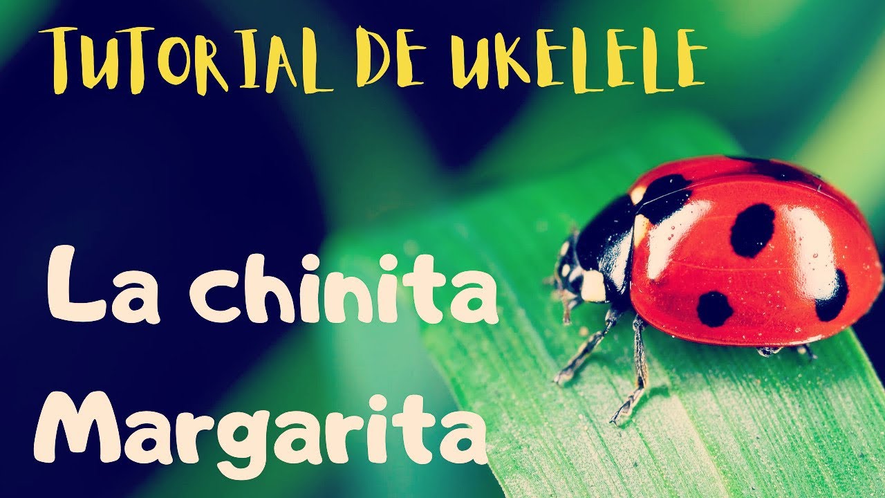 La chinita Margarita en ukelele Tutorial paso a paso Canción