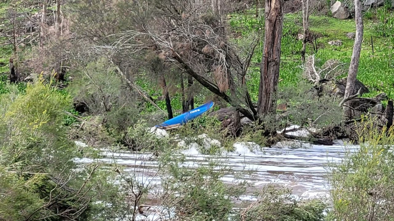 Walyunga National Park (2021)