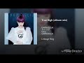 GARNiDELiA - True High (Album mix)