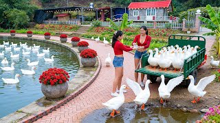 Download Lagu SELL All Ducks After 3 Months to Buy 500 New Ducklings for the Farm @VyBuildCraft MP3