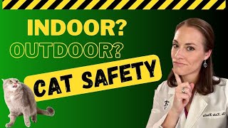 Should You Have an Indoor or Outdoor Cat? | Holistic Vet & Cat Experts Discussion by Dr. Katie Woodley - The Natural Pet Doctor 565 views 1 year ago 1 hour, 2 minutes