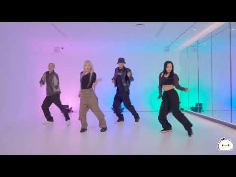 [MIRRORED]  KARD - Ring The Alarm _ 안무 영상 (Dance Practice) | Mochi Dance Mirror