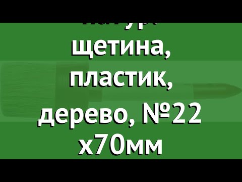 Кисть MASTER, натур. щетина, пластик, дерево, №22 x70мм (Stayer) обзор 0141-70