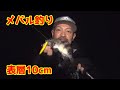 メバルがバイトする表層10cmを引けるルアー。【ライトゲーム】