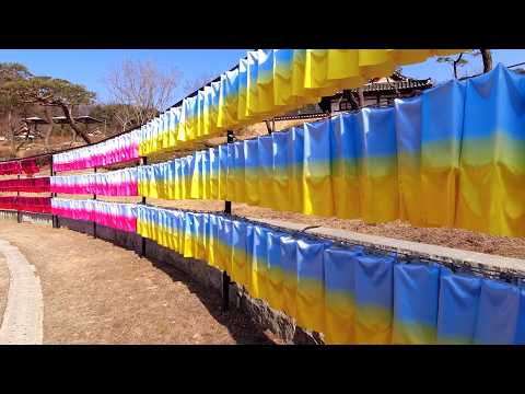 Yeongju 🇰🇷 Travel Vlog (영주 / 榮州) | Hidden Korea, Apple & Ginseng City + Morning Smoothie Routine