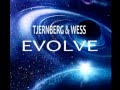 Tjernberg & Wess - Evolve (Original Mix)