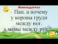 Пап, а почему у коровы груди между ног, а мамы между рук?... Подборка смешных жизненных анекдотов