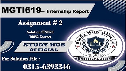 MGTi619 Assignment 2 internship report