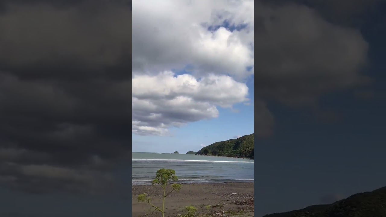 昆虫型未確認飛行物体　5分ぐらいでしたね、こちらを偵察しているみたいな動き🐶とんぼが餌を探すために長時間同じところを飛び回るのはよく見ますけど、なんやろな#奄美大島#阿木名ビーチ