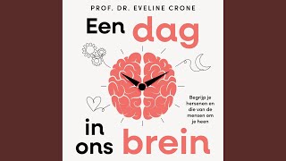 Download Lagu Hoofdstuk 16 - Een dag in ons brein MP3