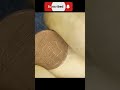 ¡Este Penny Shield de 2016 Podría Valer una Fortuna y Aún Está en Circulación! 😱💰🔥