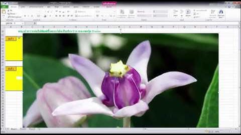 บทที่ 6 เรื่อง การสร้างเกมด้วยโปรแกรม Excel