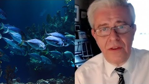 Active inference & the survival strategies of organisms with Karl Friston | Living Mirrors #57 clips