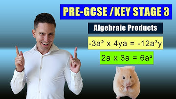 How to Simplify Algebraic Products | Key Stage 3 | Number One Tutor
