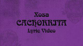 CACHORRITA - Xosa (Letra)