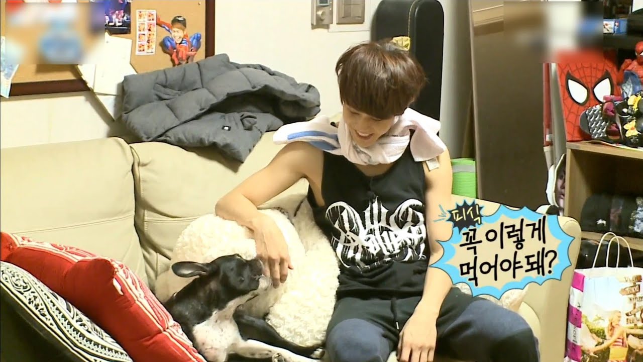 [나혼자산다] 32회 요섭 (토끼돌보기)