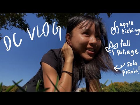 october vlog | fall in dc 🇺🇸, apple picking 🍎 🍏, fall hiking 🍁, celebrating halloweekend 🎃