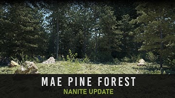 Unreal Engine 5.3 - MAE Pine Forest | Nanite Update