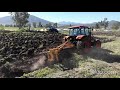 Barbechando con arado tipo pesado 5 discos 30" BALDAN y tractor KUBOTA M135X