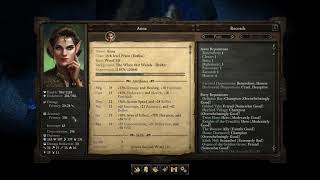 Pillars of Eternity Solo Priest vs High Bishop Kaoto PoTD