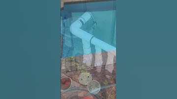 Pool Equipment AND Skimmer Leaking #shorts #leakdetection