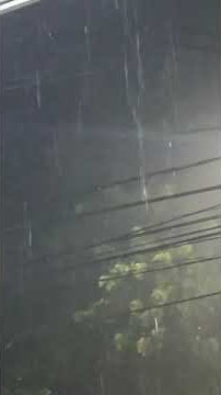 story wa lagu Senajan atiku dudu nggo koe || #storywa