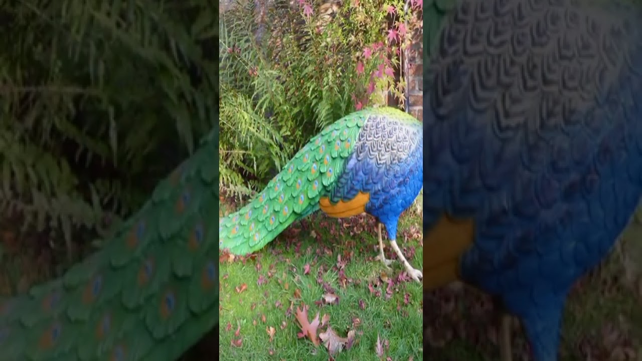 S.R fibreglass fibre glass Birds