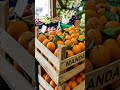 Health benefits of tangerines #shorts #funny #podcast #health #healthy #agriculture #fruit #tree