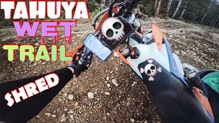 TAHUYA WET TRAIL SHRED #ktm #dirtbike #pnw