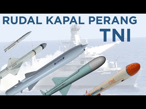 Video: Apakah kendaraan kapal militer akan conus?