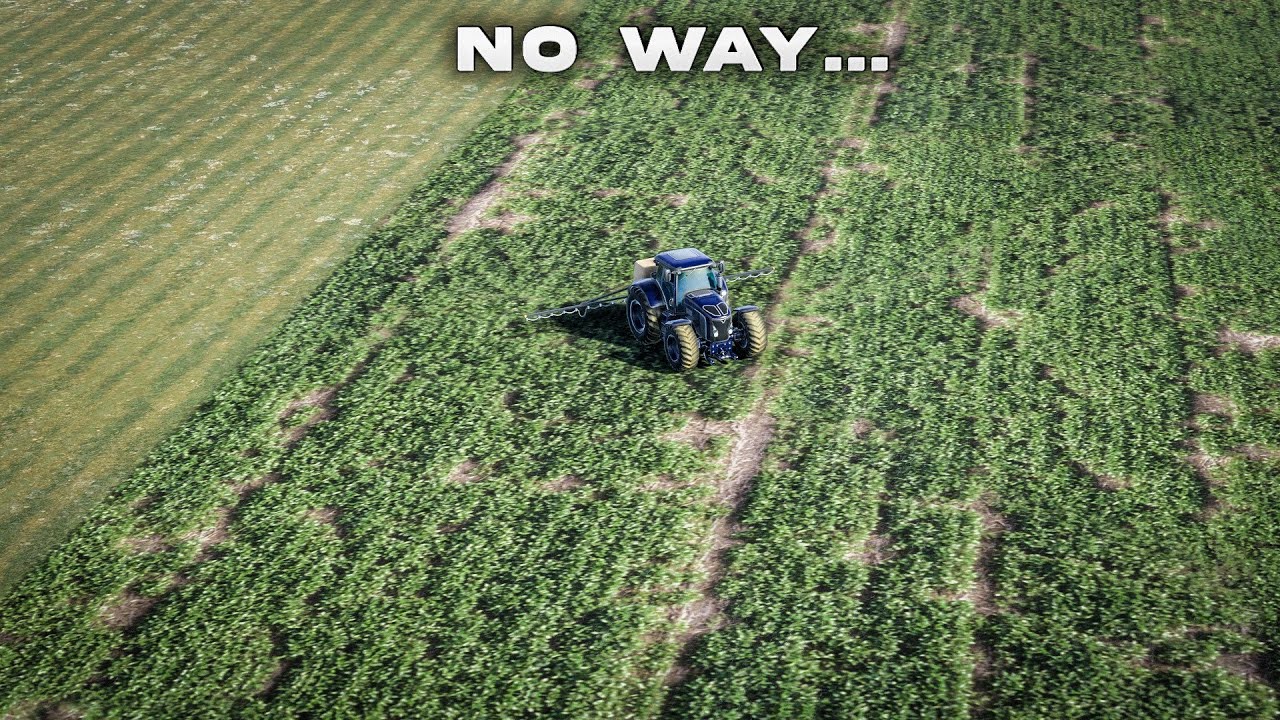 Самые реалистичные НОВЫЕ поверхности в Cities: Skylines 2 -=Mikeland 10=-