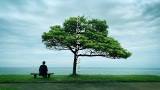 Kanashimi no Nare no Hate ni