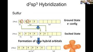 Famous High Steric Numbers- 9.12 Profile